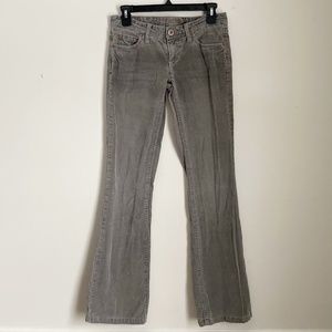 American Eagle Outfitters Grey BootCut Corduroy Pants
